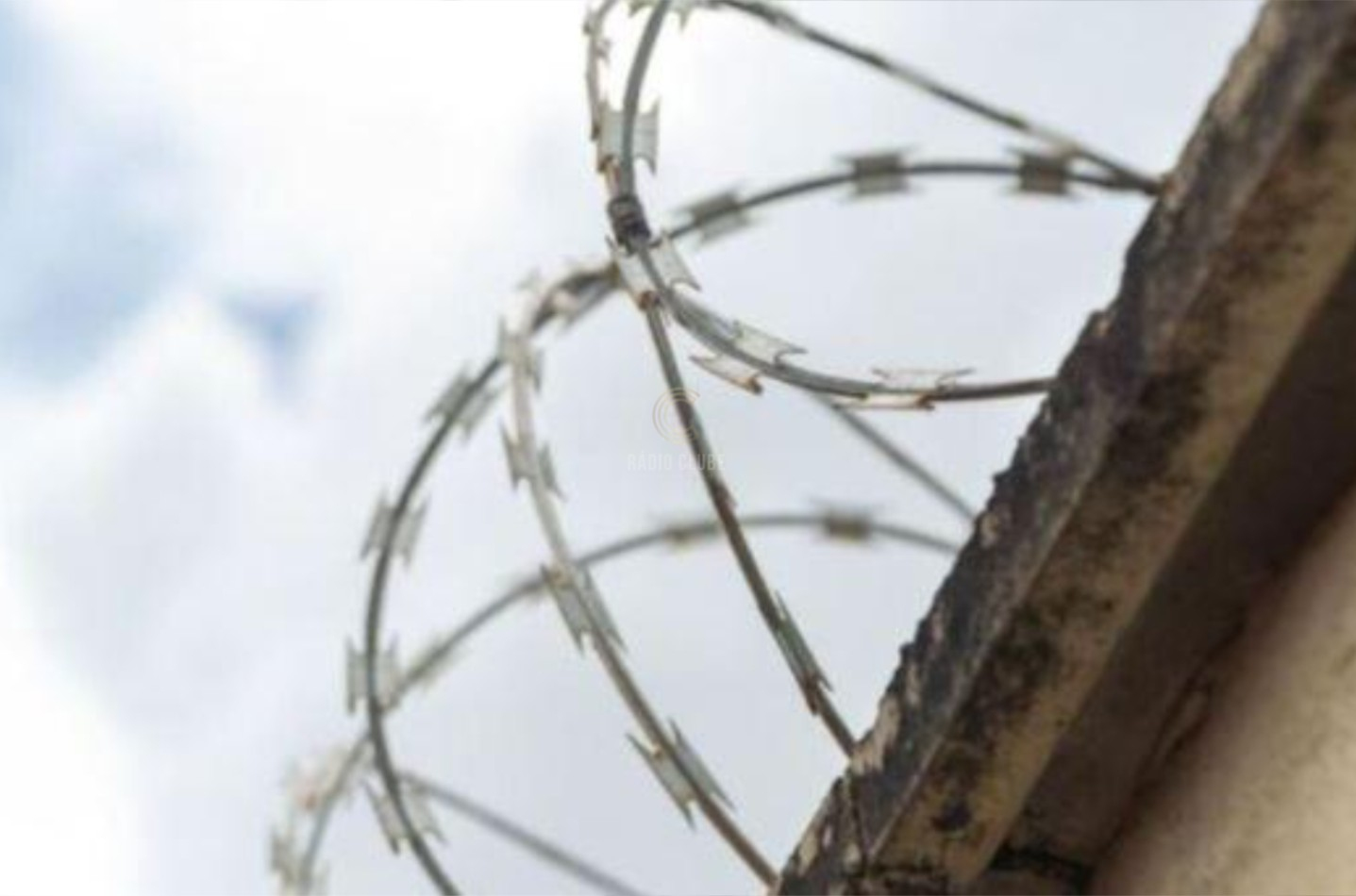 Mulher detida após entregar droga ao irmão recluso em Paços de Ferreira