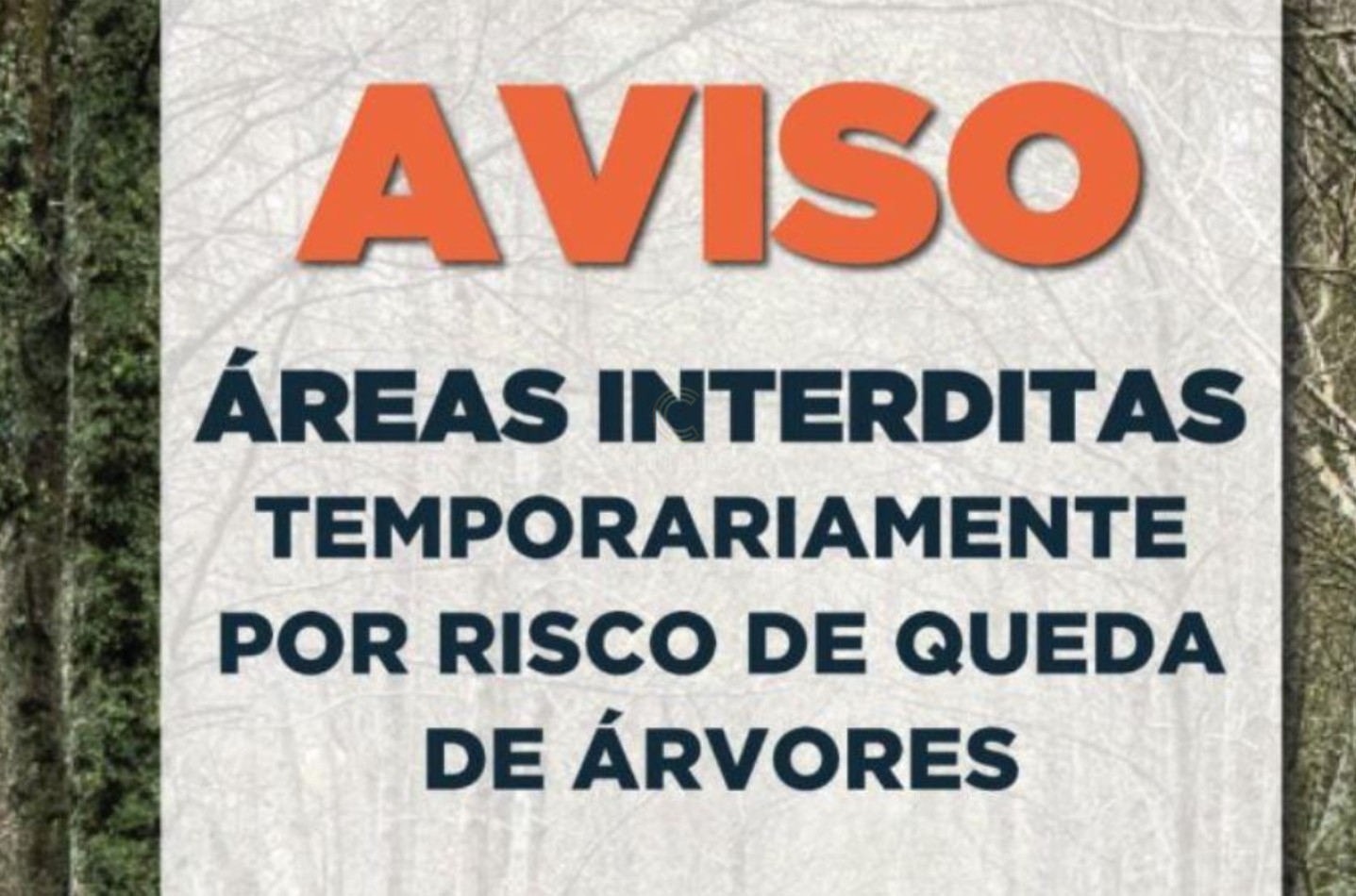 Câmara de Paços interditou o acesso a todos os parques de lazer e zonas florestais