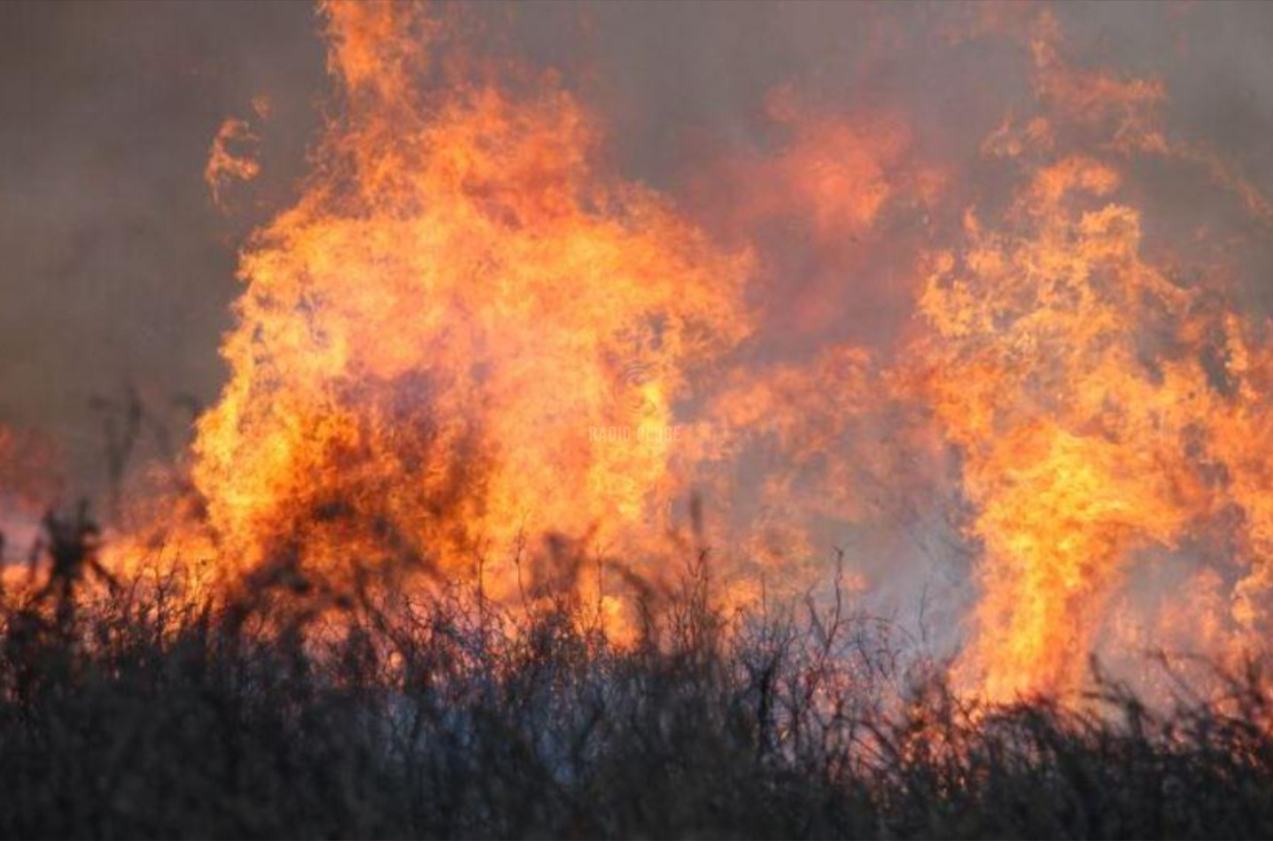 Paços de Ferreira lança procedimento digital para autorizar trabalhos agrícolas e florestais em dias de risco de incêndio